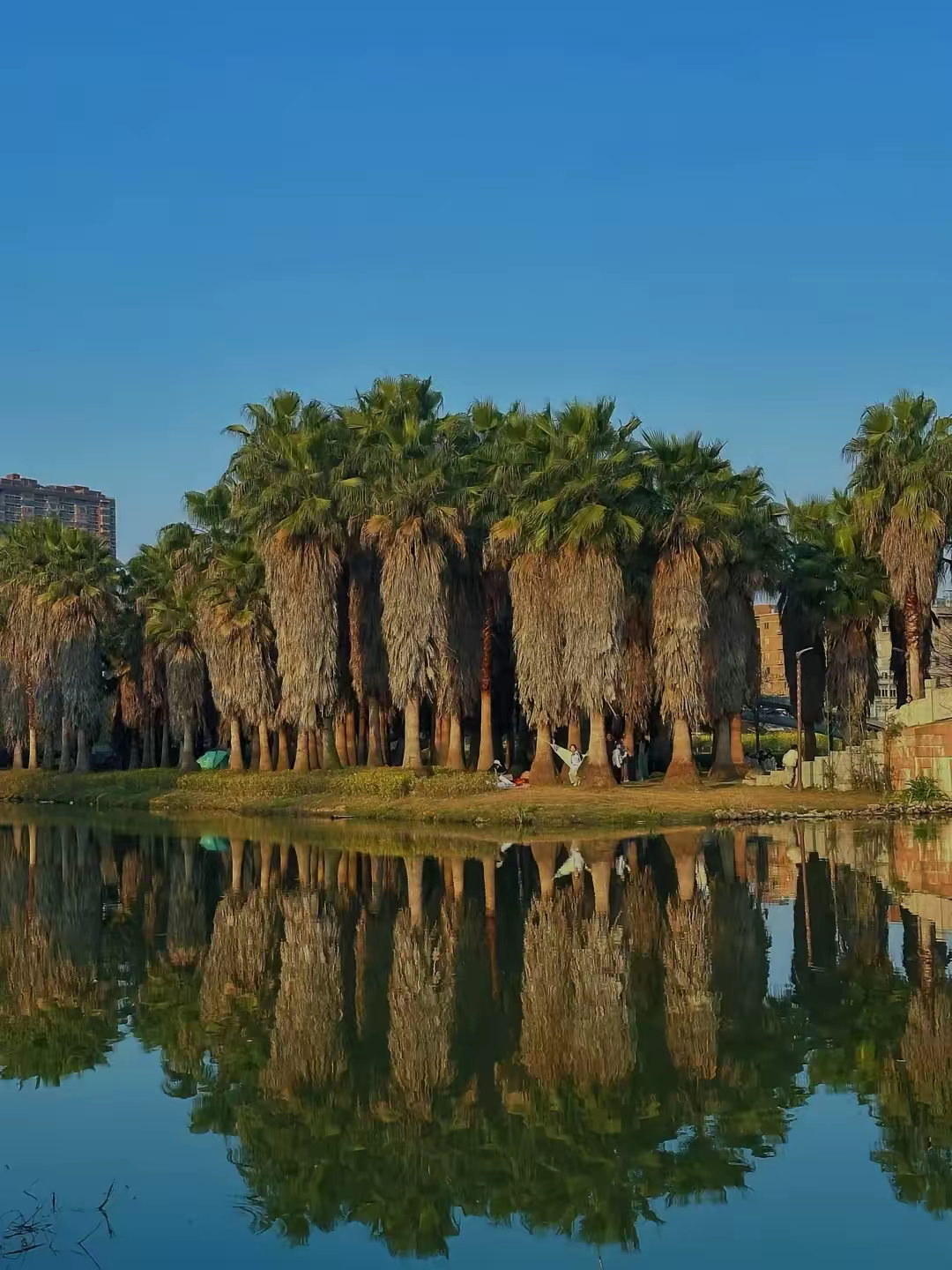 股市群众基础最大的是单纯的凭借消息或者均线的那些人。再向上就是明白多指标共振并且