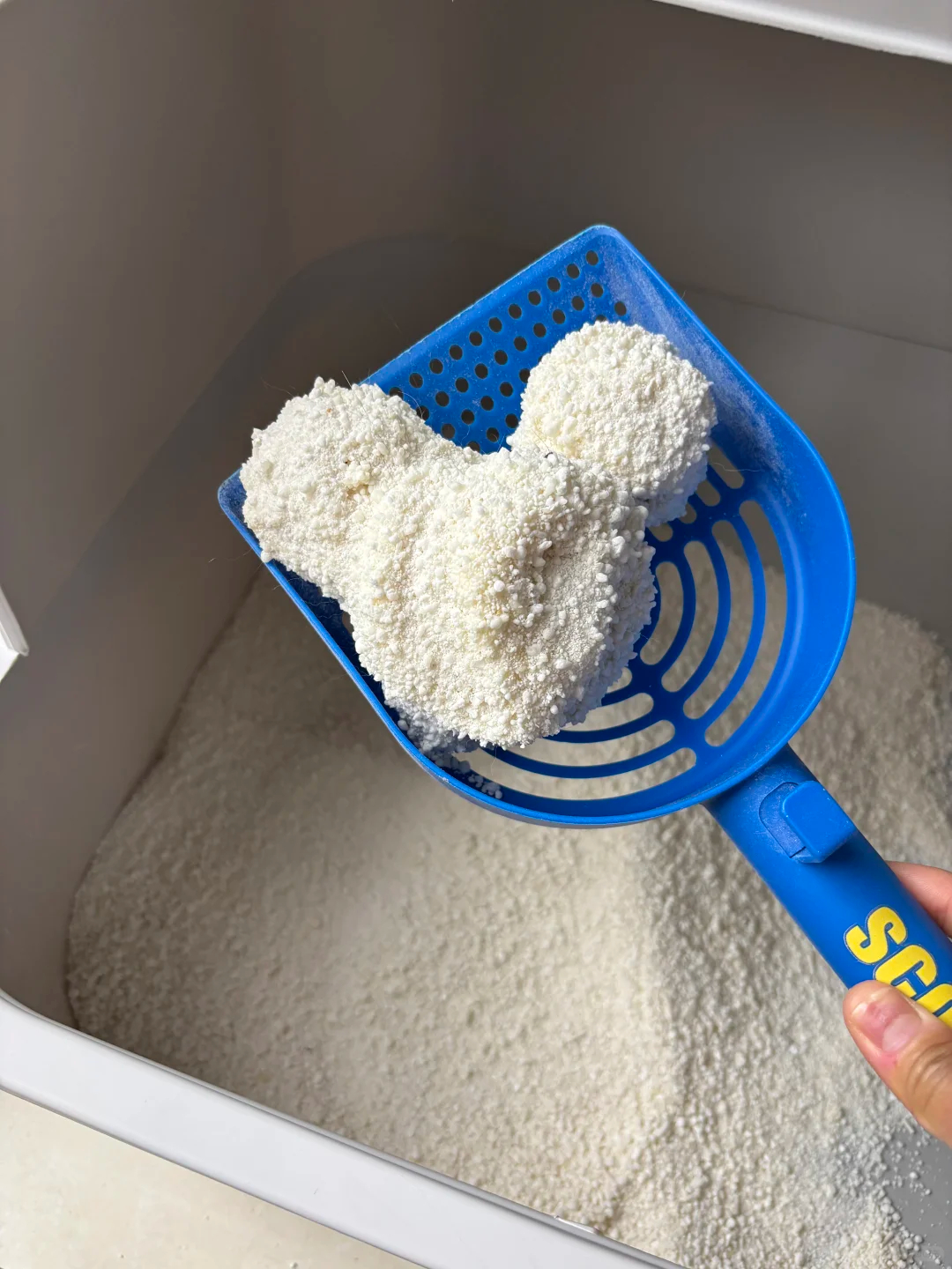 迪士尼法务警告 