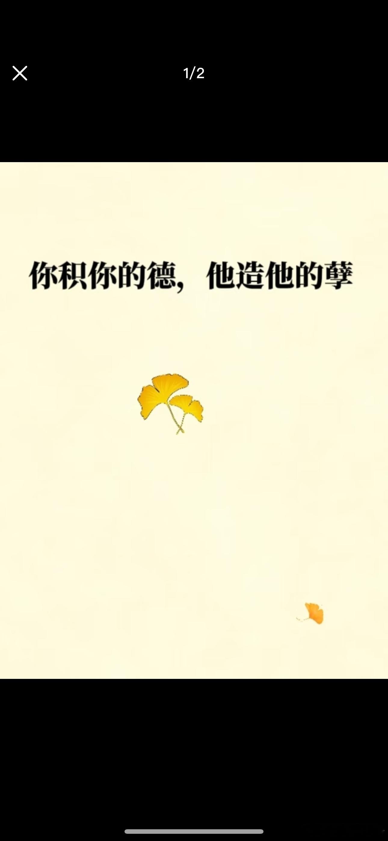 我信因果。自有定数。 ​​​