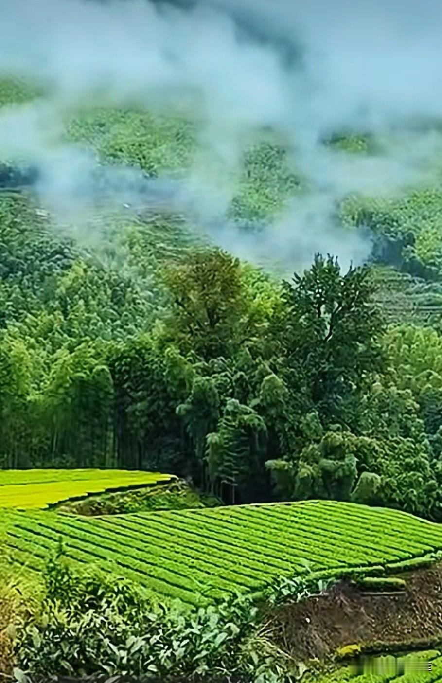 “复盘”与“迭代”，这两个词在商业语境中常常如影随形，但如果只把它们当作“总结”