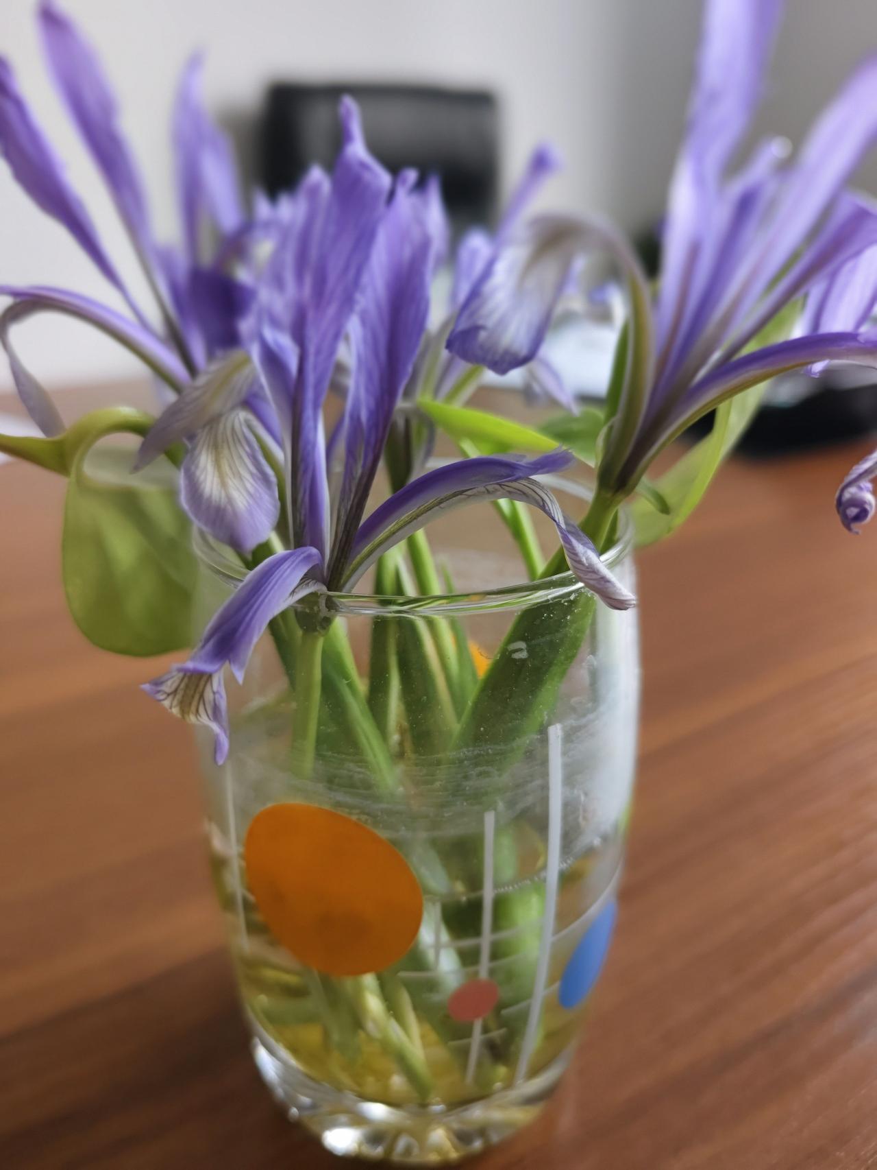 人生八好:好身体、好心情、好习惯、好情绪、好心态、好运气、好品行。