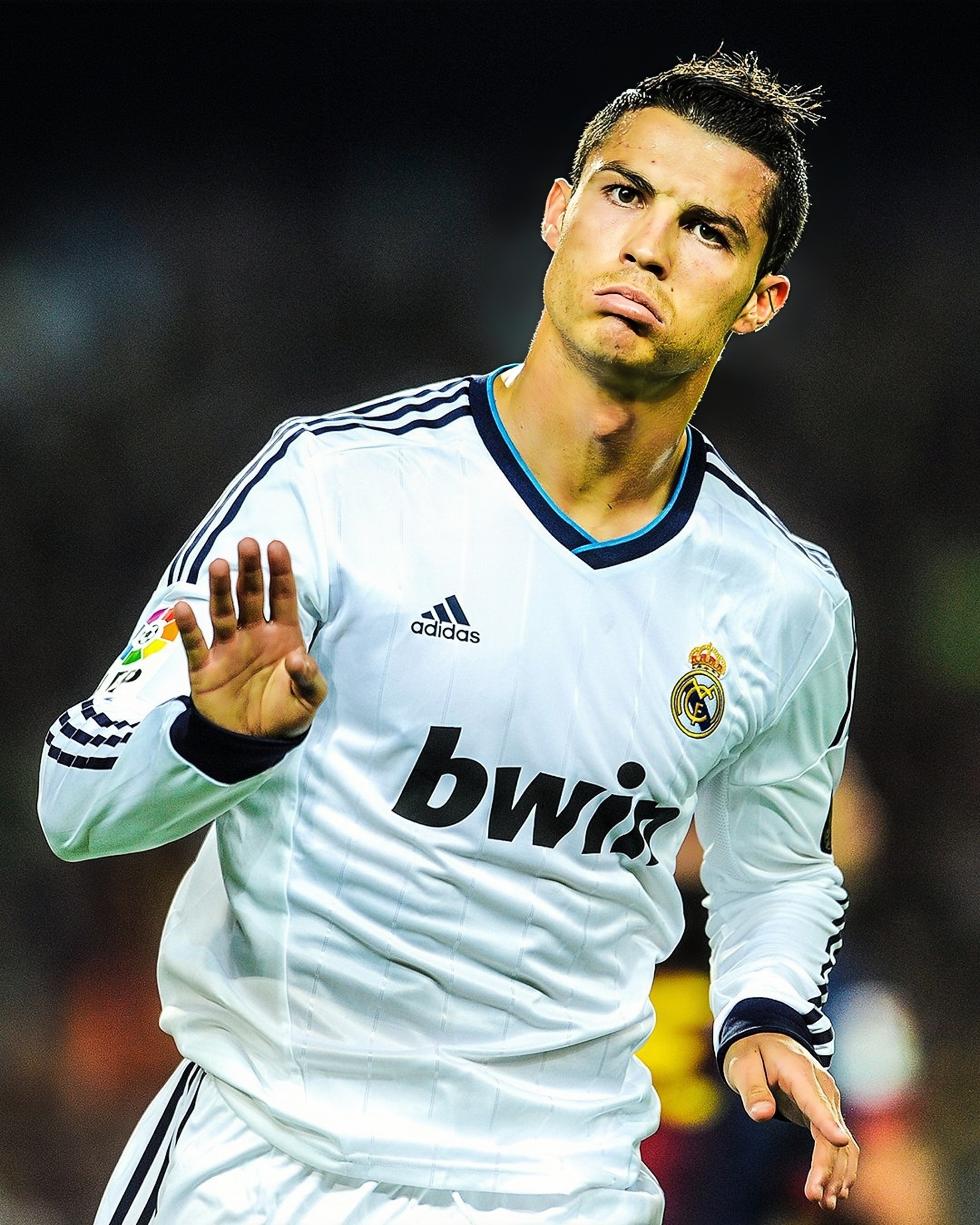 Calma, calma！ 