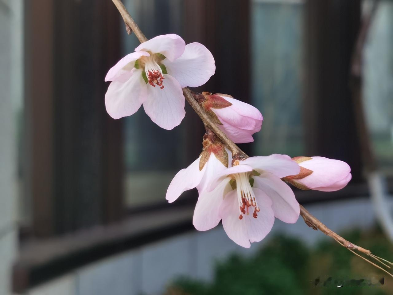 算力在换挡，医药在凋谢，金铜在预警！
你赢不了，是因为对资金流向不清楚，不清晰，