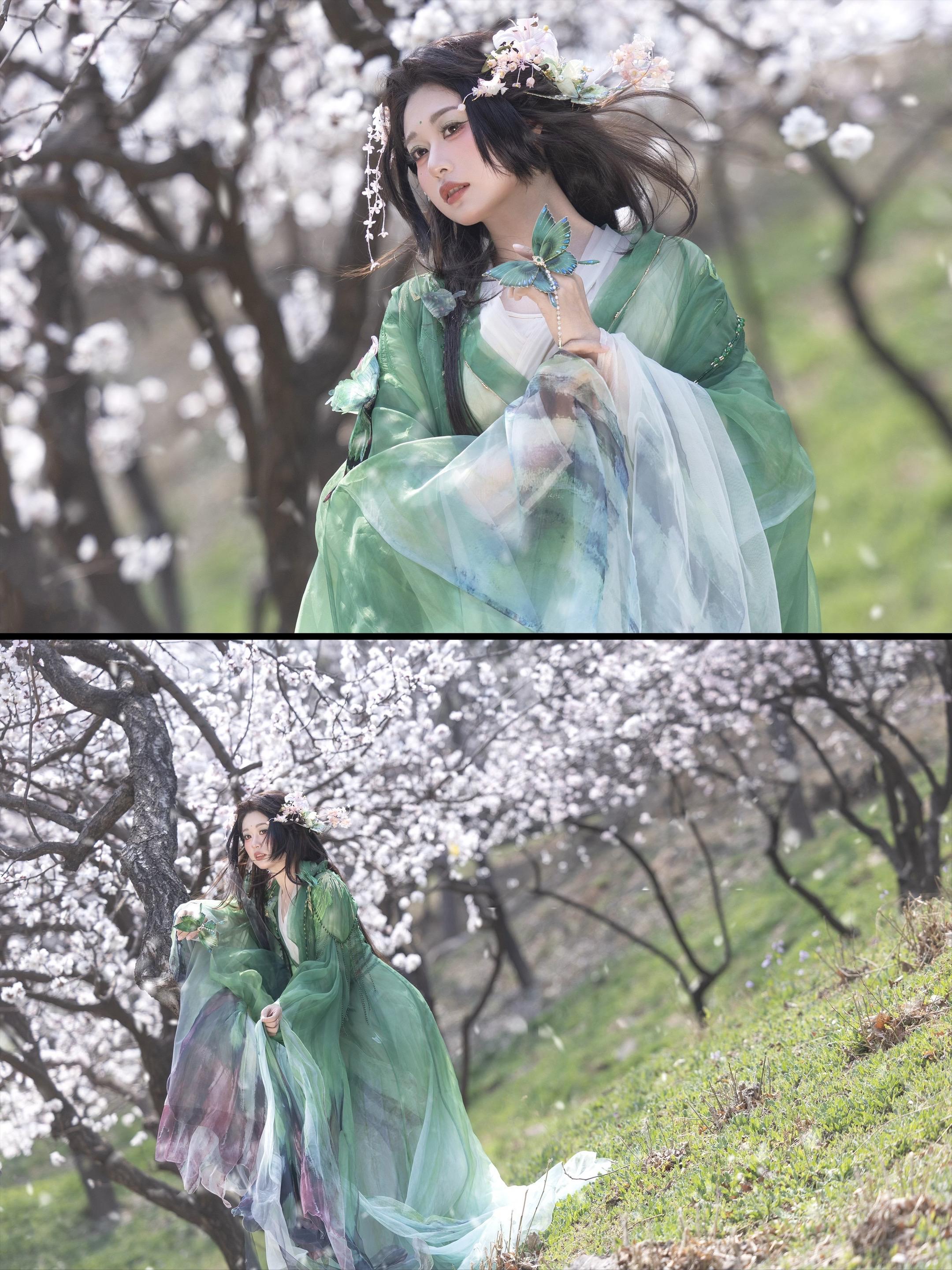 ‘ 春风渡我 ’是今年雨水很多草绿了版本的杏花～ 终于也在春天拍上了绿色衣服