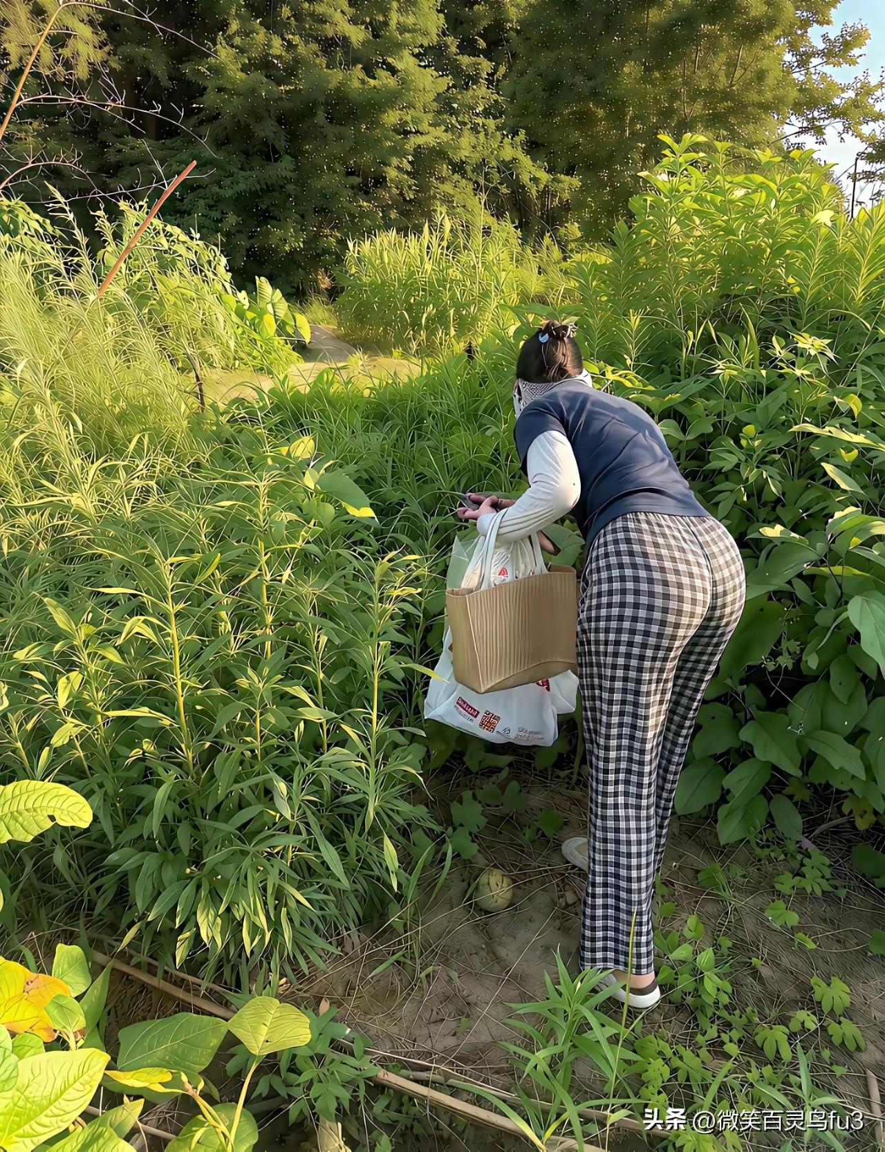走进乡野，寻一份简单的快乐
 
城市待久了，就格外贪恋乡间的烟火气息。
 
放下