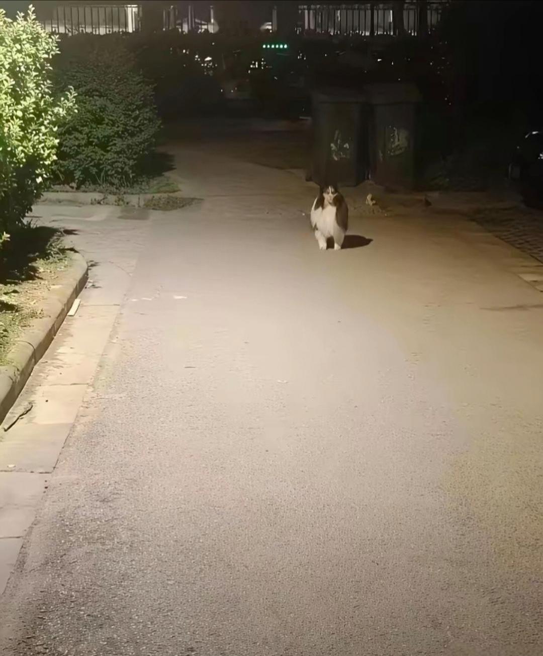 楼下拍的吓到我了