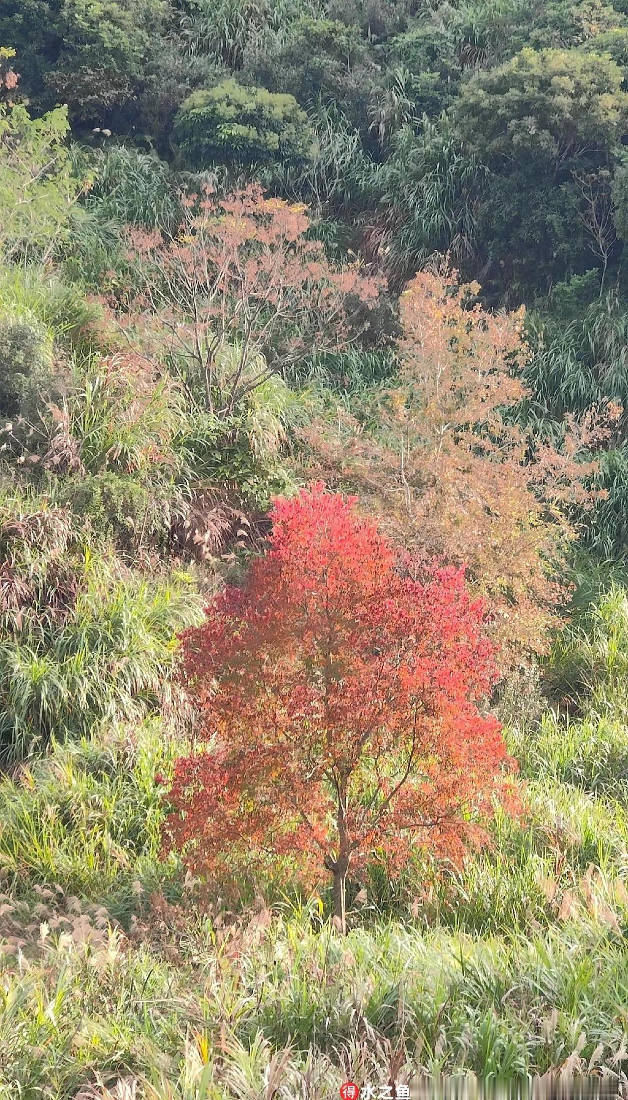 大山的风景 户外徒步 爬山 爬山推荐 户外登山