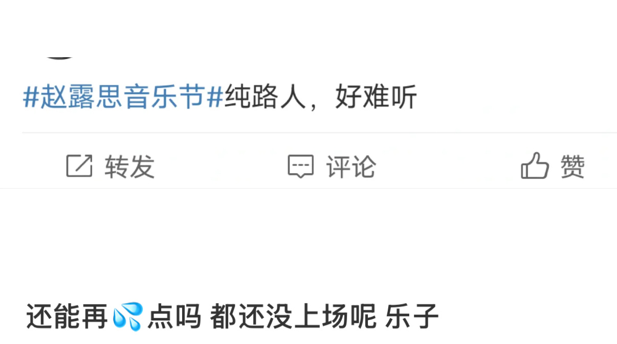 《微博》《纯路人》《没登场就有了云听众》《预制黑》赵露思音乐节 /赵露思 ​​​