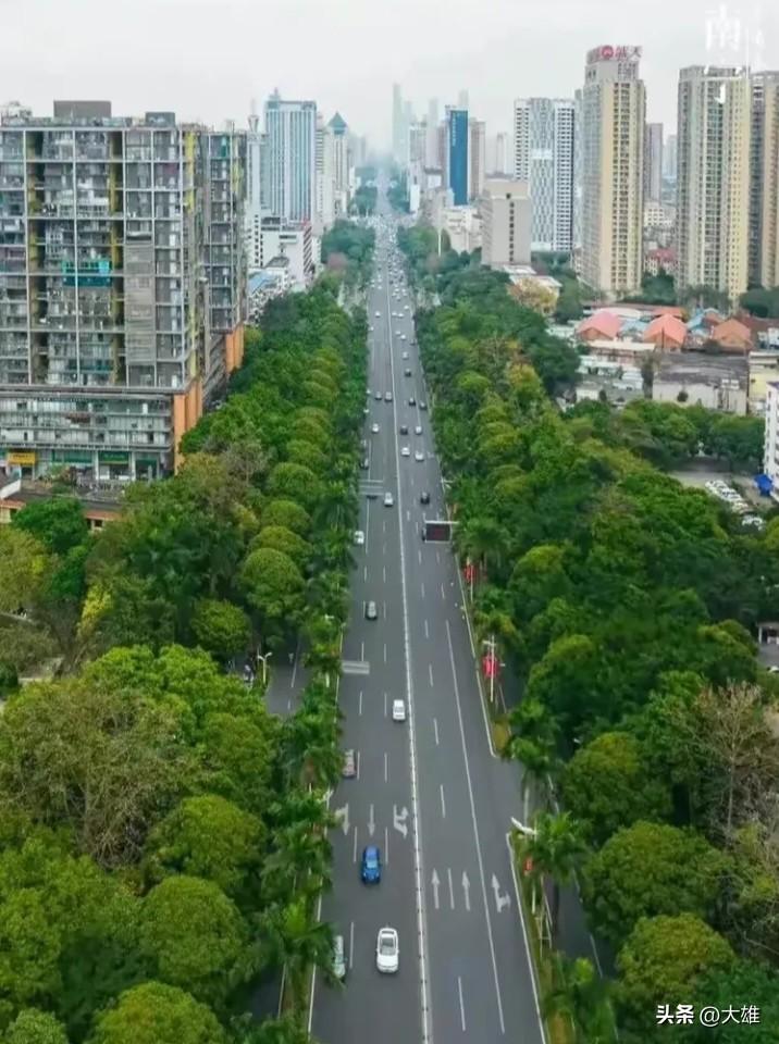 南宁的好，在得天独厚的生态宜居。北回归线穿城而过，冬无严寒、夏无酷暑，四季草木常