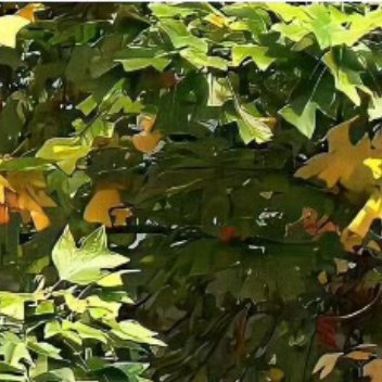 早安 早安顺遂🌿今天再难的事，过几天回头看都是故事，心要像伞，能撑得起风雨，也