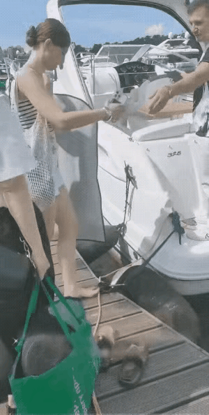 周末，男友领着女友打算乘坐游艇，去欣赏大海秀丽景色之际……男友率先跳到游艇上，回