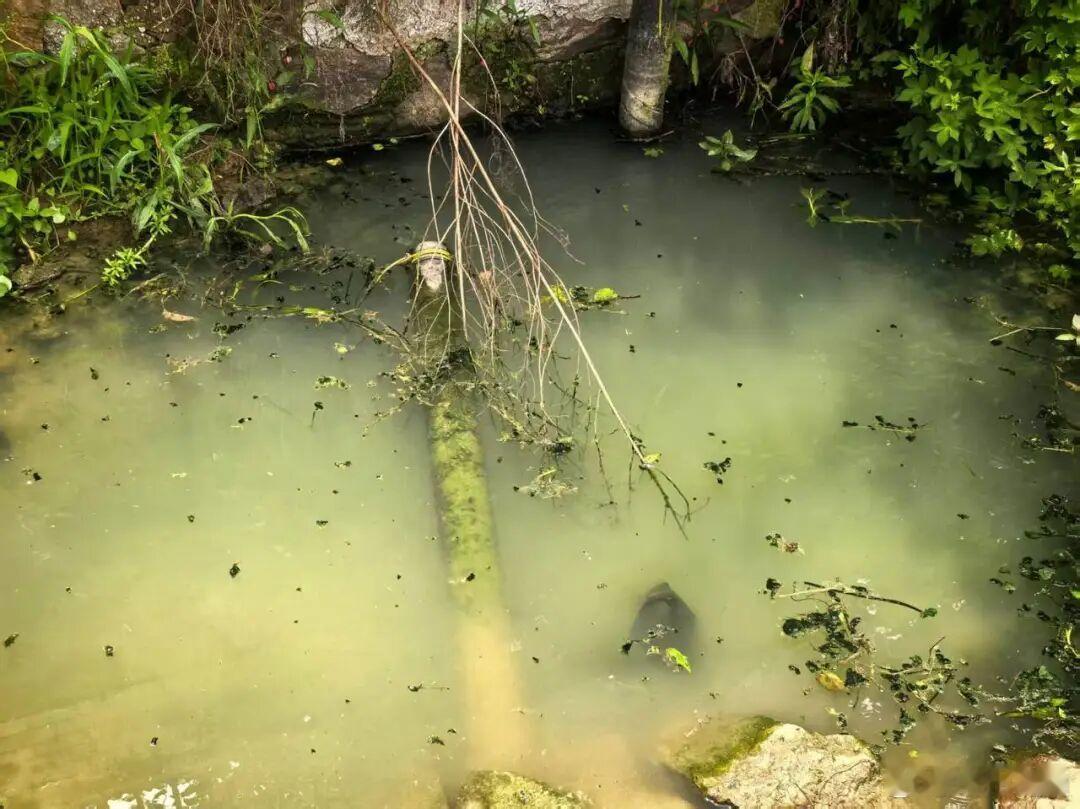 宁波奉化荒废绿地变菜地居民盼整治 宁波奉化岳林街道金钟社区东郡尚都和时代望府东侧