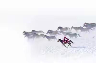 人民日报刊文纪念贺娇龙
贺娇龙事迹写入新疆维吾尔自治区政府工作报告

难忘那个纵