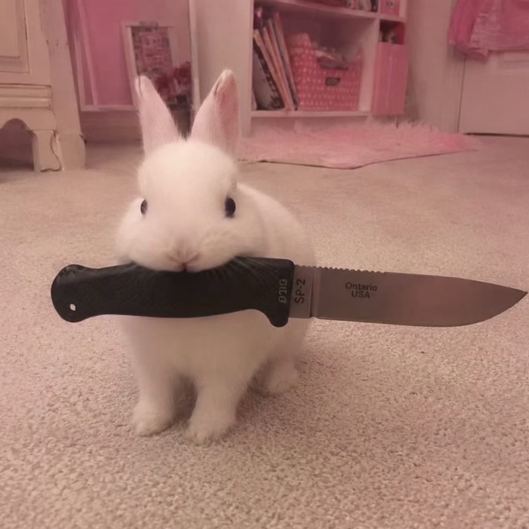 谁懂我这个头像 ​​​