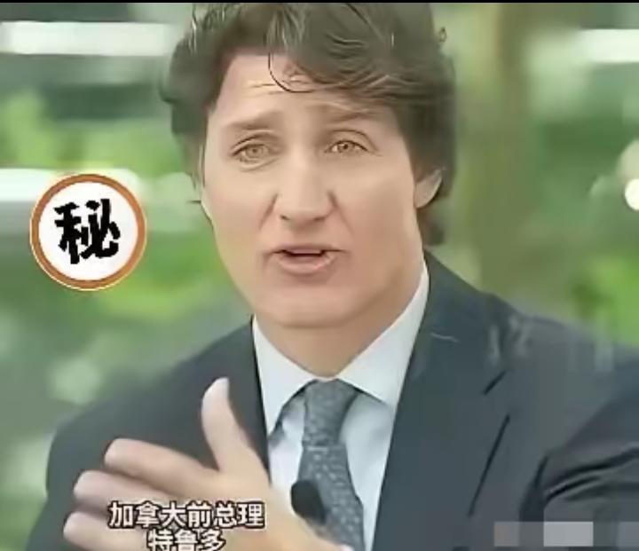 加拿大前总理特鲁多，4月23日在新加坡CNBC访谈中毫不讳
言地称：当年特朗普政