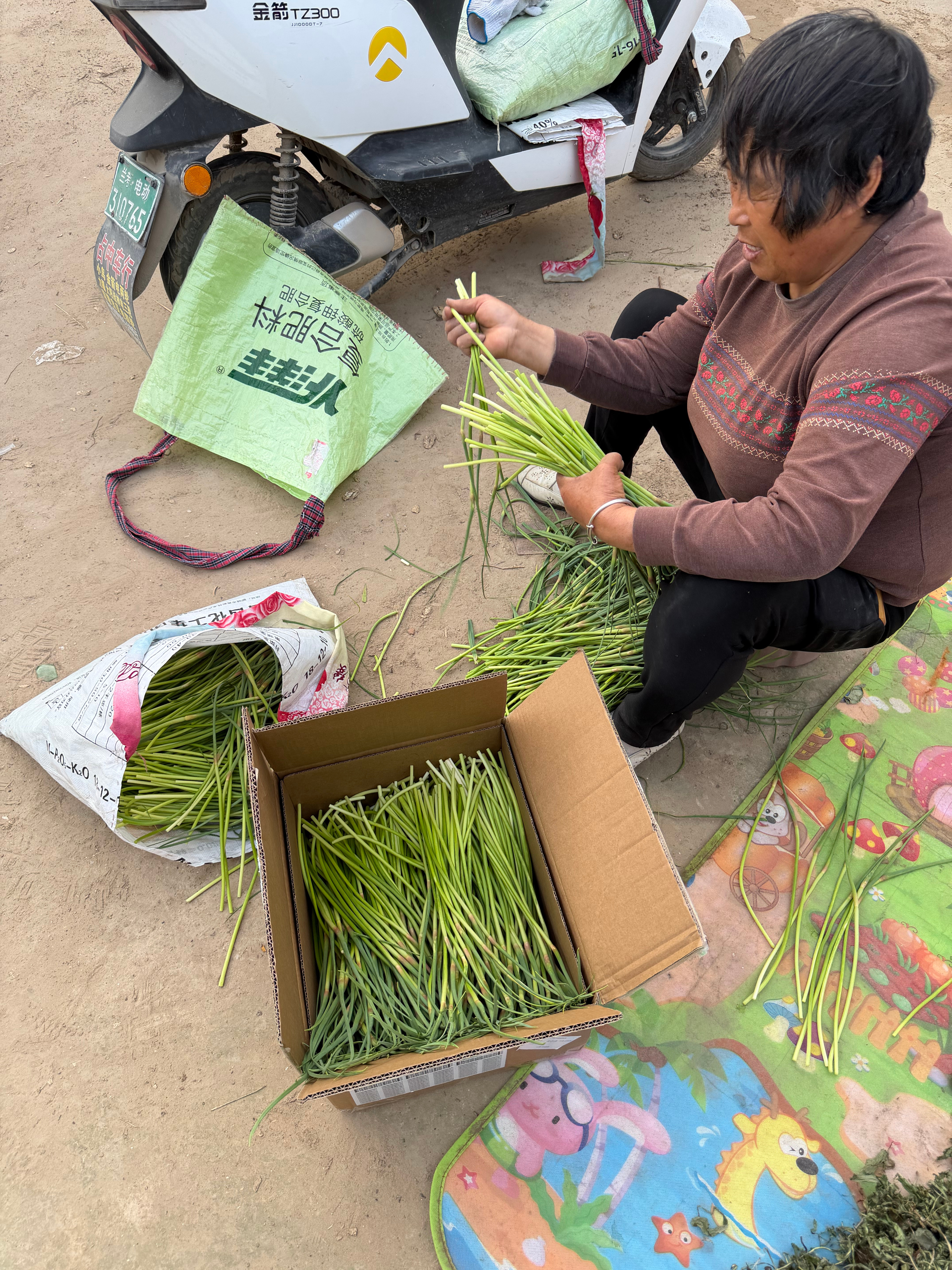 一位粉丝超喜欢吃蒜苔，蒜苔不收钱了，顺丰生鲜运费85元（粉丝承担），他很想吃河南