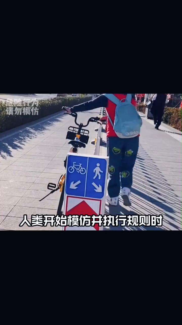 我嘞个绝对遵守规则之人。
人类开始模仿并执行规则时会出现什么情况？就比如有汽车压