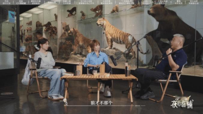 狼性团队是很差的团队动物科普聊出职场大实话，谢楠徐梦洁和专家探讨团队管理，比起狼