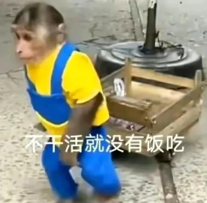 好人有好报你们赞同吗?
赞同[赞][赞][赞]
