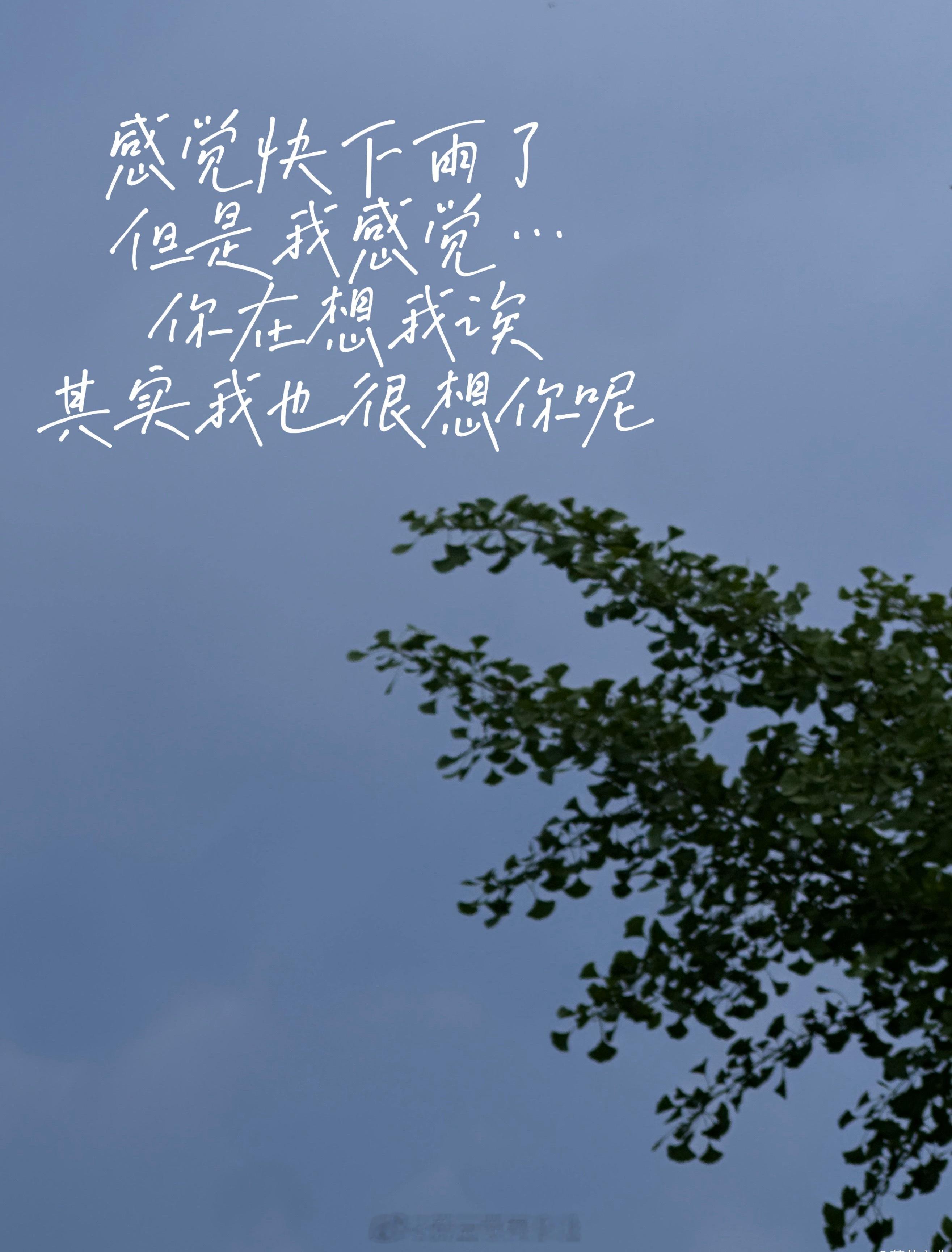🫧李煜东发泡泡了：“感觉快下雨了，但是我感觉，你在想我诶，其实我也很想你呢” 