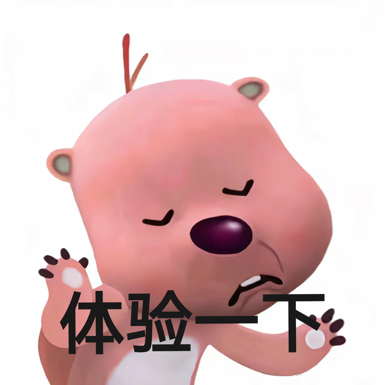 🌝 ​​​
