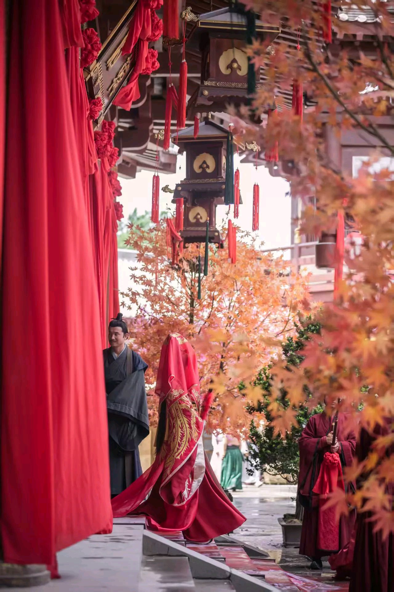 jjy鞠婧祎万花世界 jjy鞠婧祎苏绿夏 𝙁𝙡𝙤𝙬𝙚𝙧 𝙨𝙝𝙤