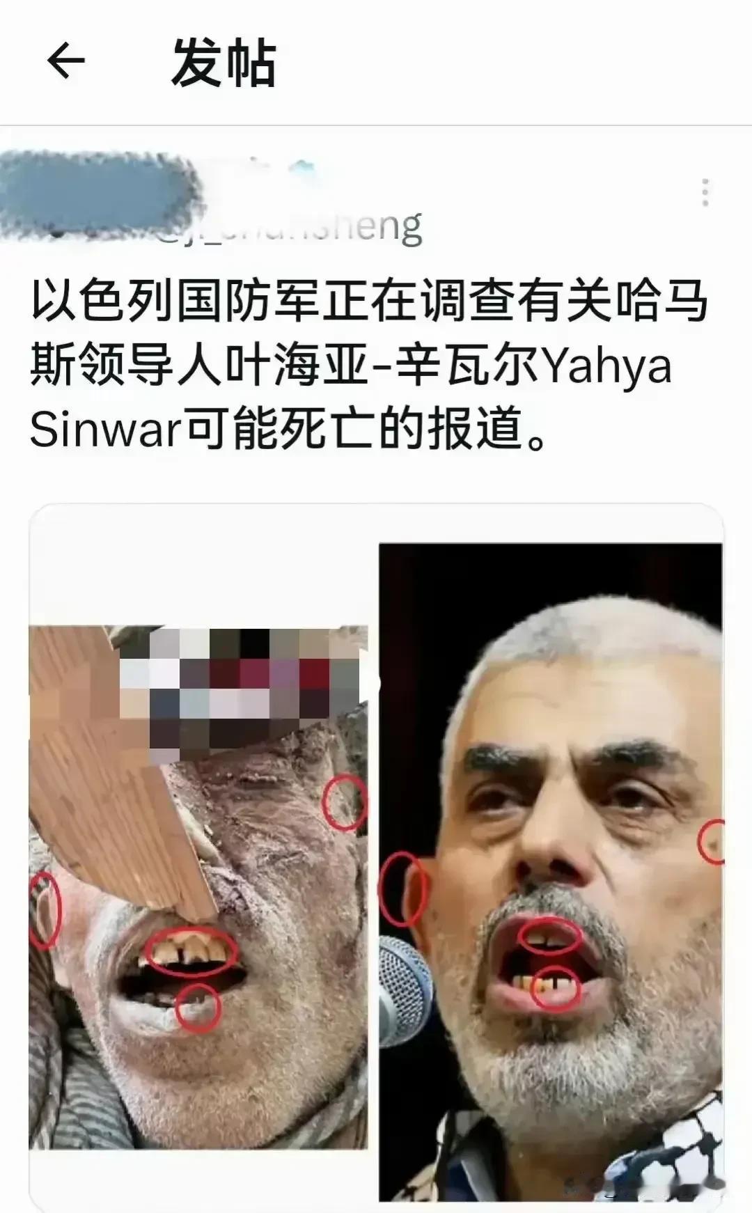 一个辛瓦尔倒下了，千万个辛瓦尔又站起来了！当地时间10月17日，以色列媒体称，巴