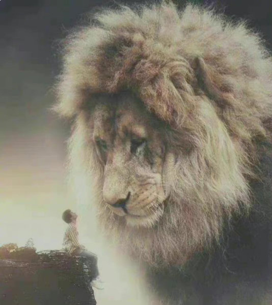 “真正的强大不是对抗，而是允许发生。允许遗憾，愚蠢，丑恶，虚伪，允许付出没有回报