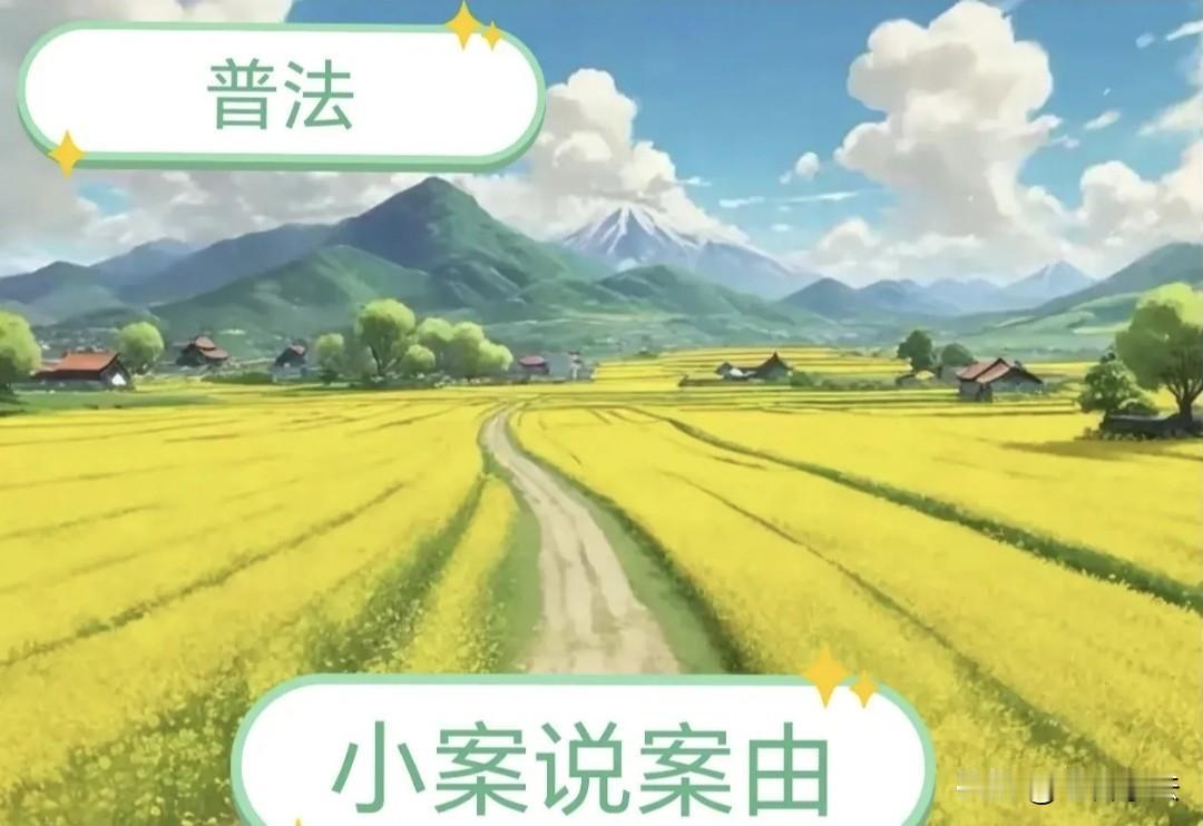 乙公司与甲市水土保持监督总站水土保持行政处理纠纷案（详情及法律分析请看图片）
