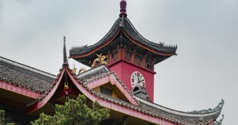 它不是 985、不是 211，也没入选双一流，但在法学圈子里，“西政军团” 的名