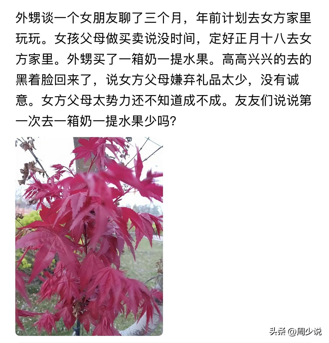 “网友吵翻！”近日，一位网友分享了自家外甥的糟心事，引发网友吵翻。外甥与女友相恋