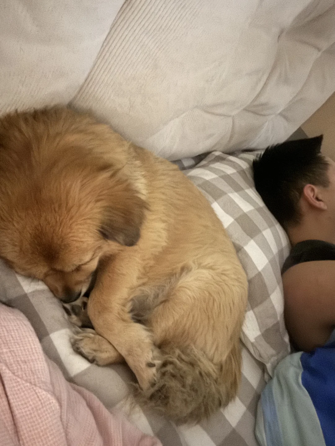 搞笑女笨笨日常