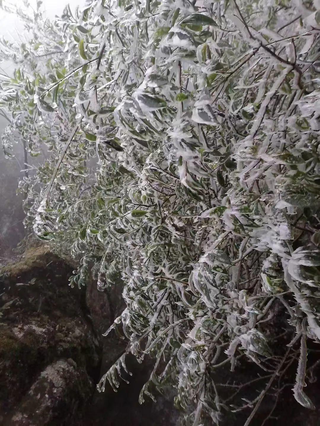 广东是座藏着多元惊喜的城。清晨早茶的虾饺肠粉冒着热气，午后骑楼老街飘来凉茶香，夜