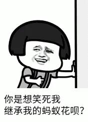 吕特是吕布的后人，多个爸爸无关紧要。