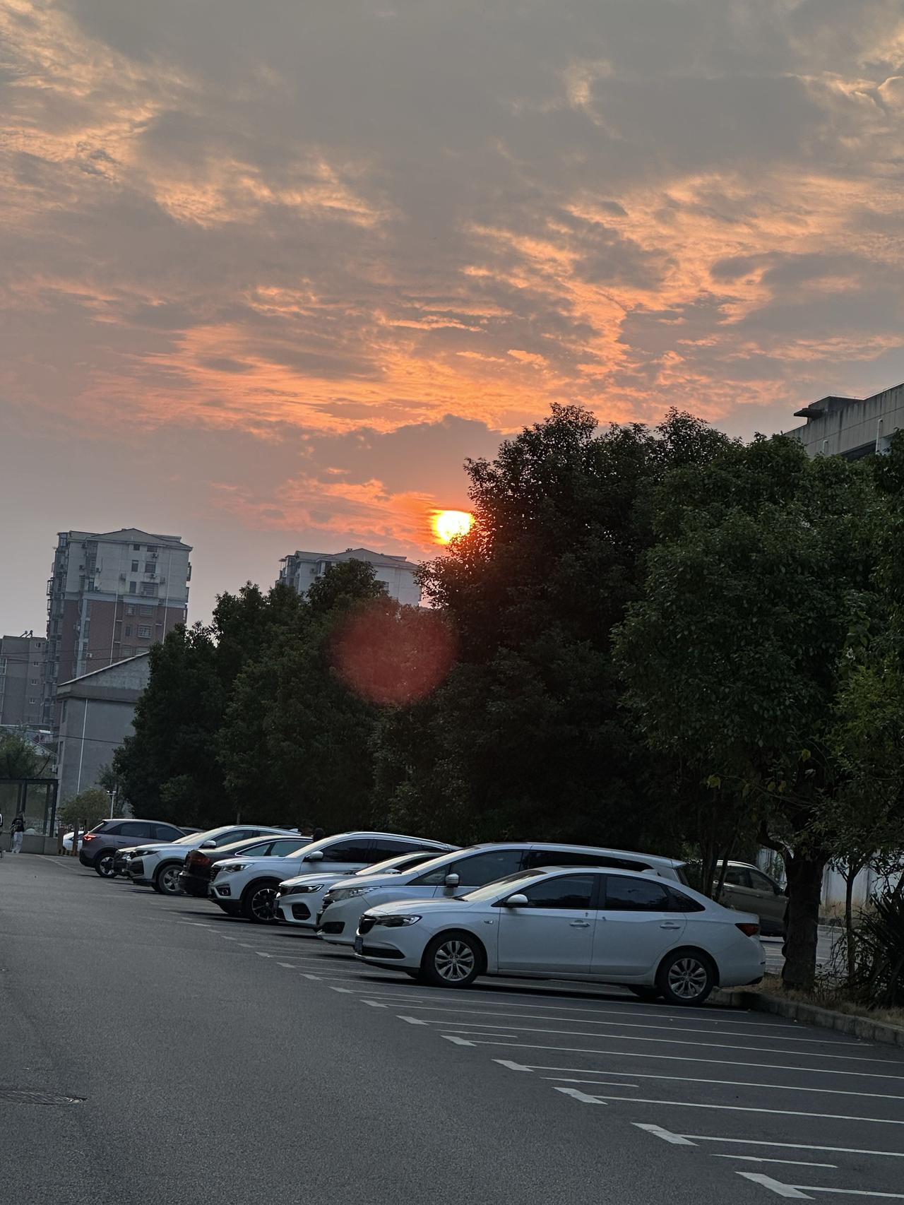“牙疼不是病，痛起来真要命！”

连续三个夜晚都被牙疼痛醒，睡眠质量大打折扣，白