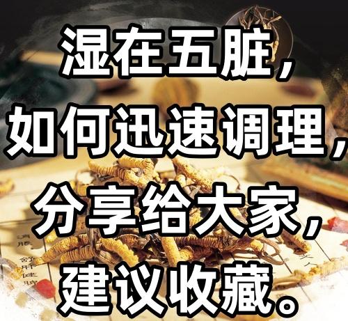 湿在五脏，如何迅速调理，分享给大家，建议收藏。

1. 湿在肺
表现：痰湿蕴肺通