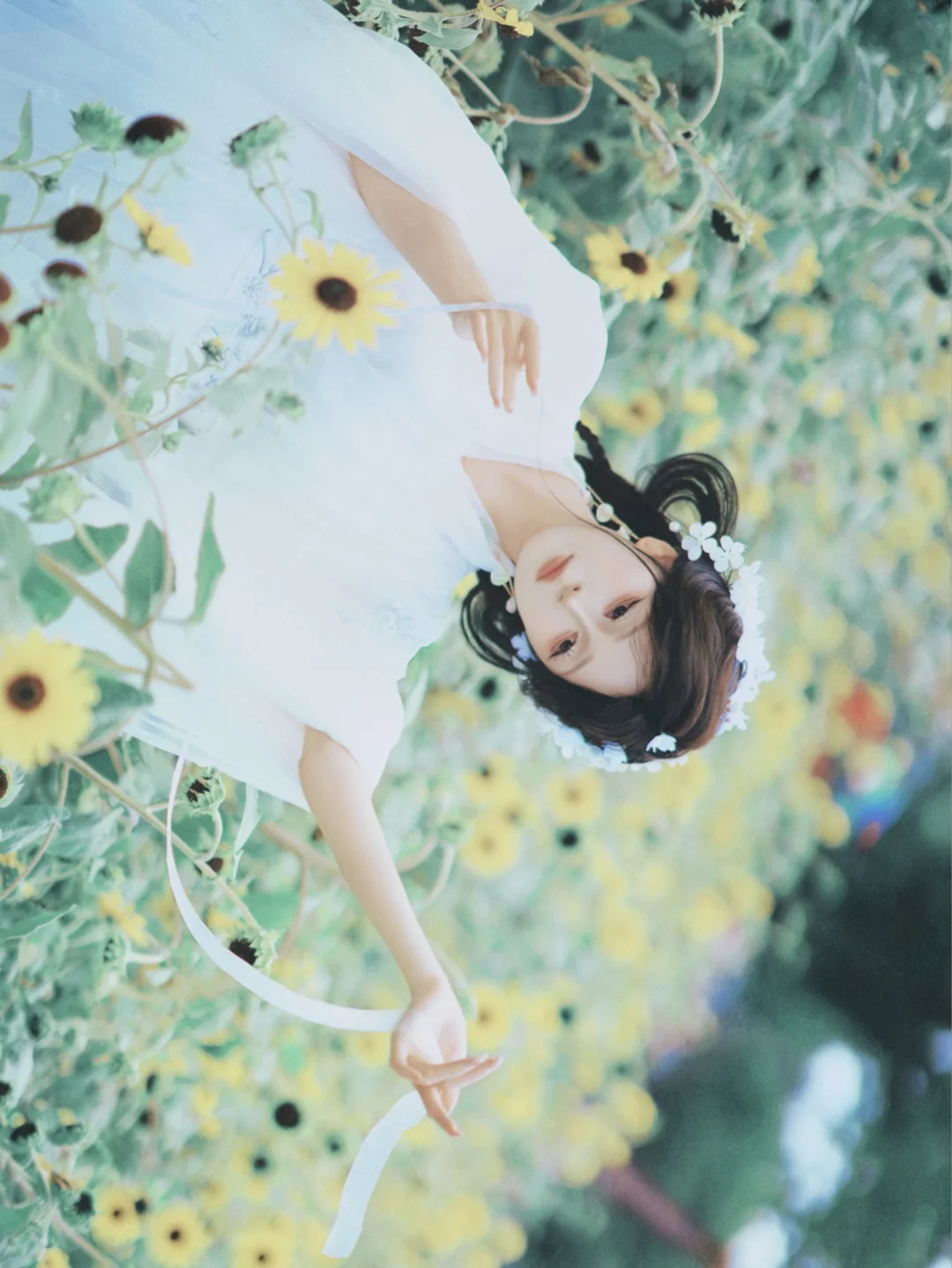 海南海口小小摄影kuokuo 列表