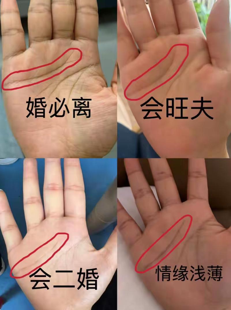 谁能想到，随手刷到的姻缘手相科普，居然能引来上千网友扎堆对照自查。
我闲来翻看评