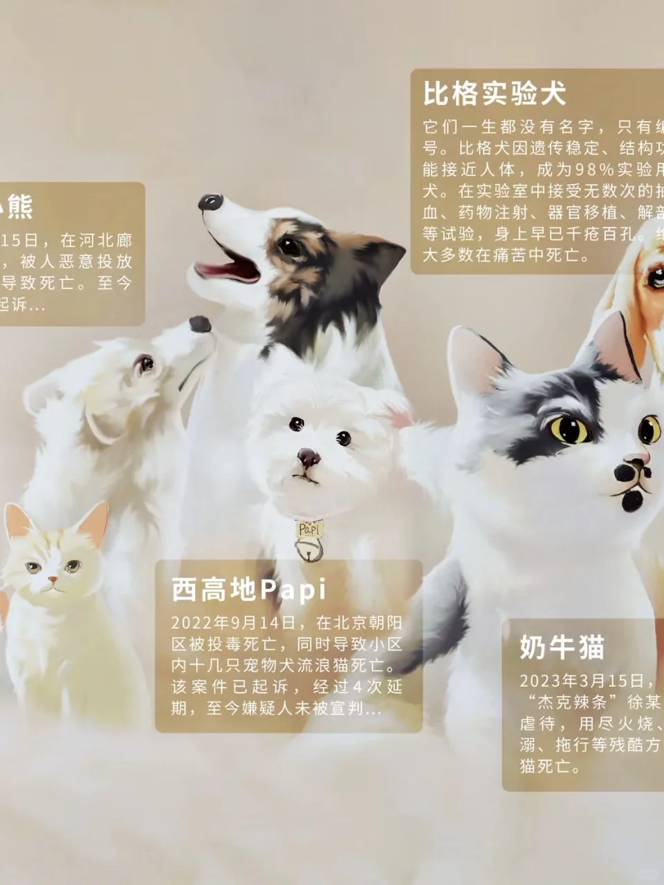 正义不是山坡上的蒲公英那么唾手可得