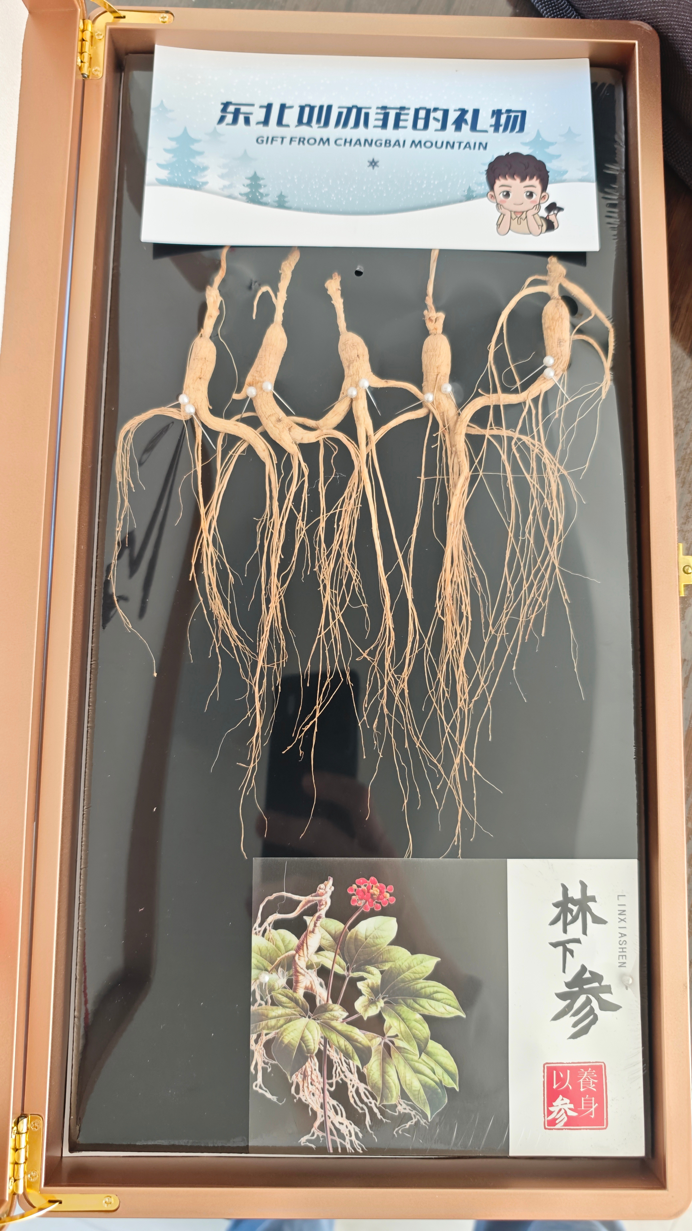 还是我套哥了解我，上了岁数了，需要补补。感谢东北刘亦菲 