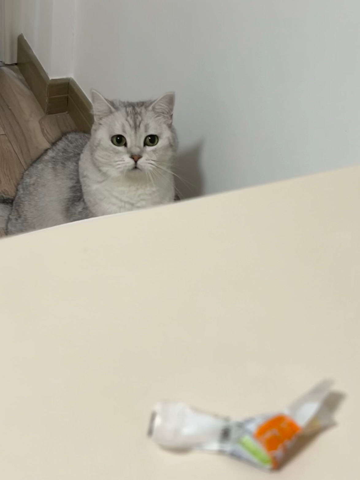 闻声而来了[哈哈]#喵趣横生# ​​​