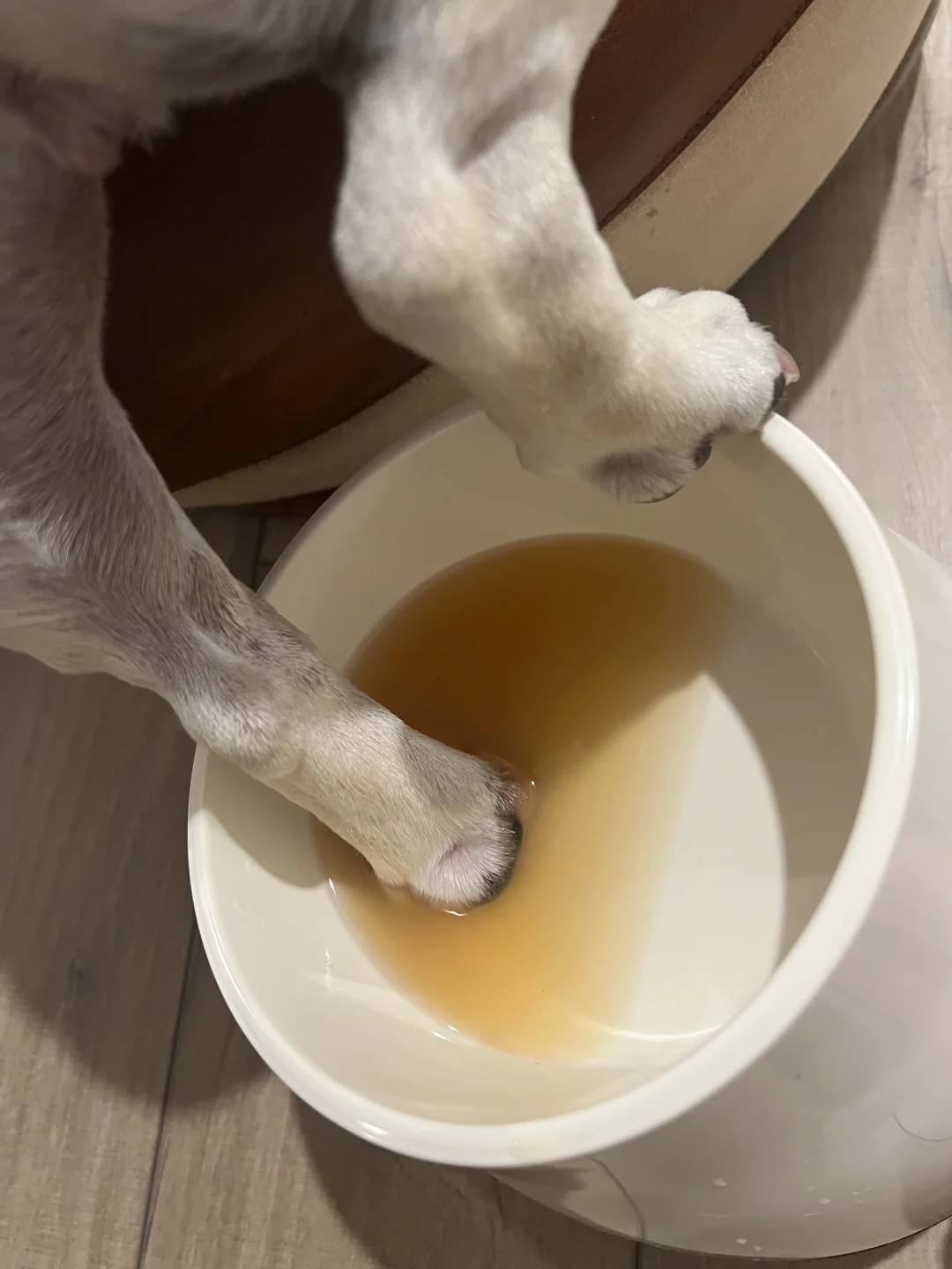 这该死的肌肉记忆