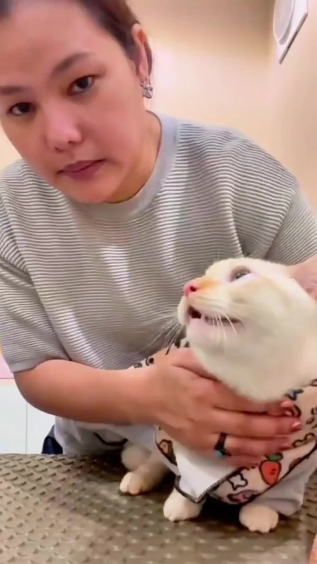 这是小猫跟我的第二年了从来没这样过，今天不知怎么了