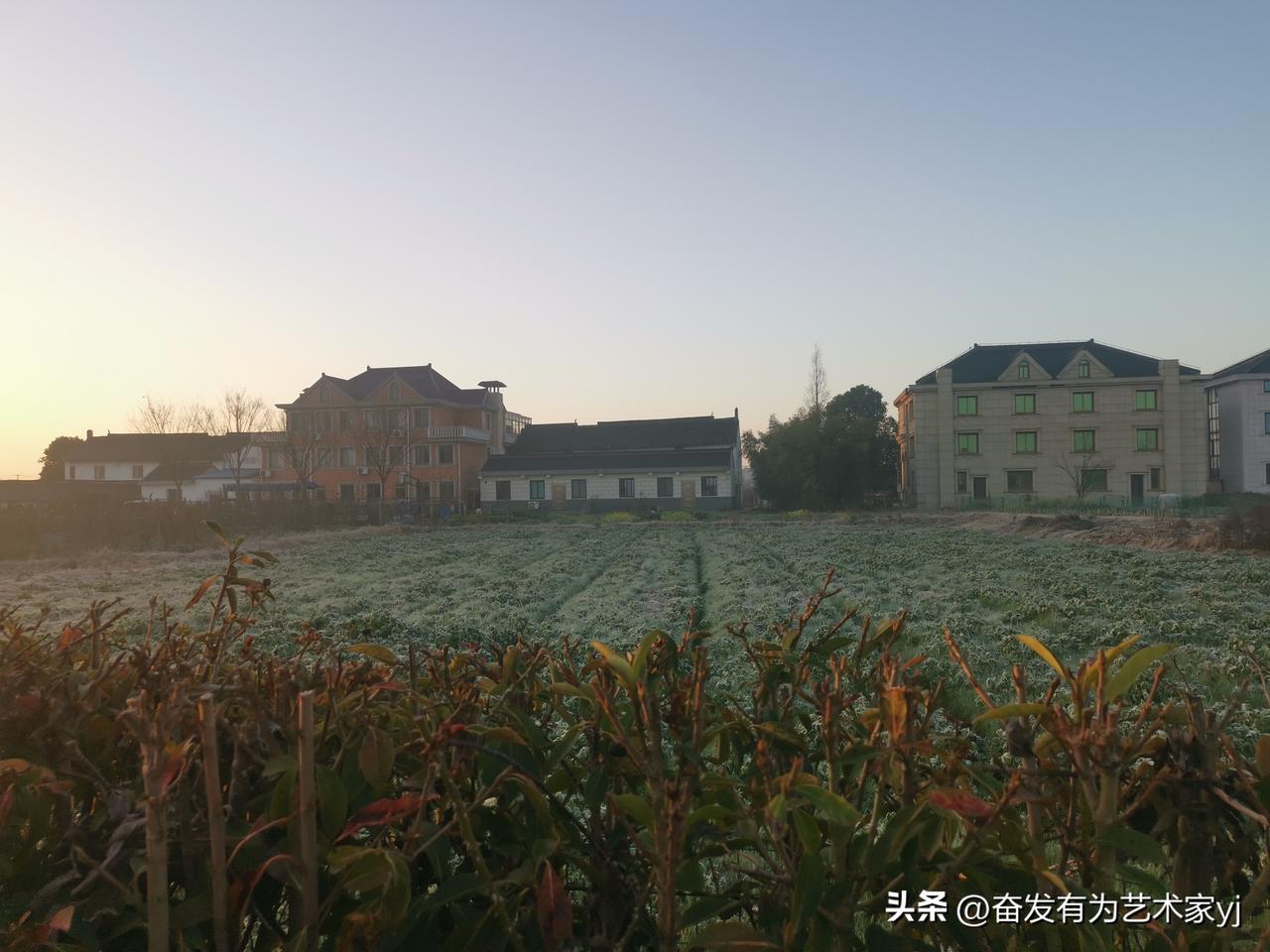 3月10日，今天早晨，去上班，等公交车的时候拍得。

日出东方，阳光洒下，每个人