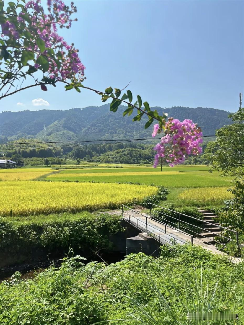 祸莫大于不知足：人心不知足，一生难安乐！
 
老子有言：祸莫大于不知足。短短七字