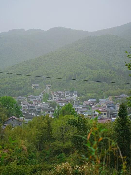 幸福的周末｜带娃去乡下采茶挖笋，空山新雨🍃