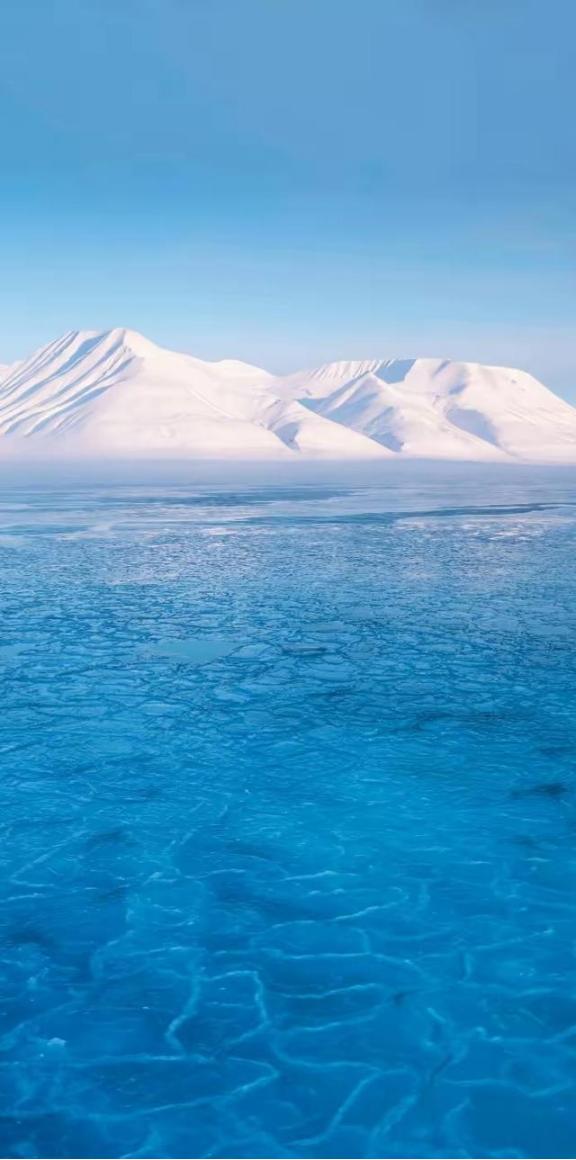 刘震云说：“一个人最大的愚蠢，就是没背景却想做官，无人脉却想发财，无资源却想交朋