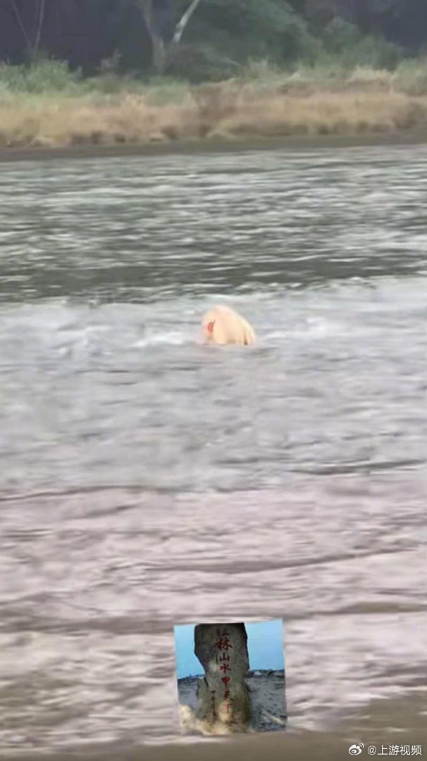 #桂林山水甲天下石碑被淹#【南方暴雨致多个景区受影响：湘西“一脚踏三省”碑、桂林