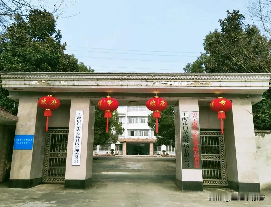 皖南住着上万上海人，他们虽然从未进入过上海，却有着上海身份证，享受着上海的福利工
