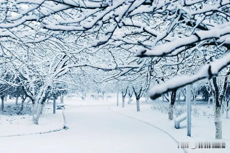 上联：秋乘落叶去，求下联：…？冬携白雪来！